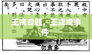 王戎专题，王戎戎事件 