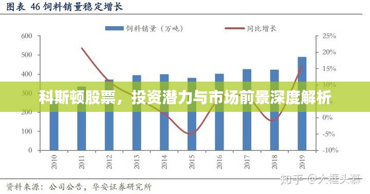 科斯顿股票，投资潜力与市场前景深度解析