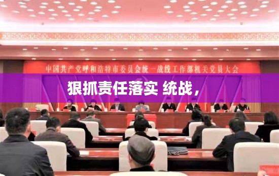 狠抓责任落实 统战， 