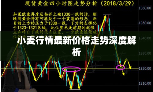 小麦行情最新价格走势深度解析