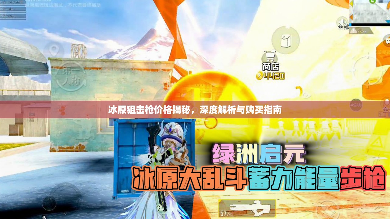冰原狙击枪价格揭秘，深度解析与购买指南