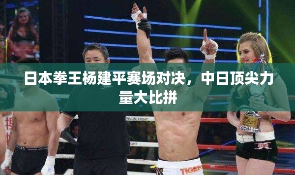 披肝沥胆 第2页