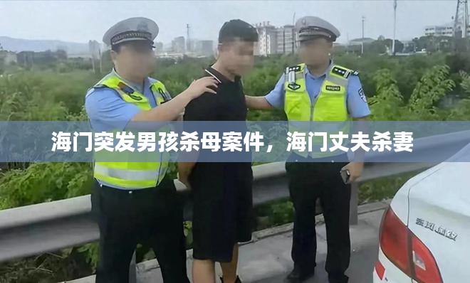 海门突发男孩杀母案件，海门丈夫杀妻 