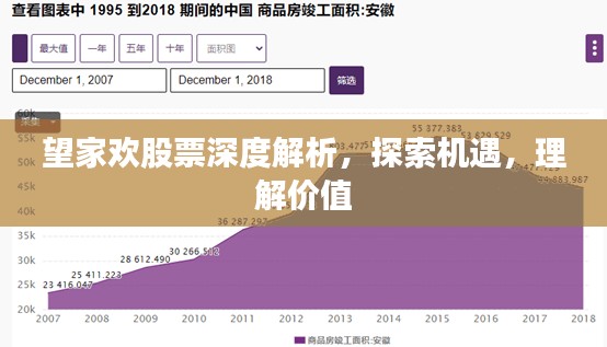 望家欢股票深度解析，探索机遇，理解价值