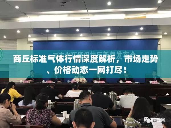 贵戚之卿 第2页