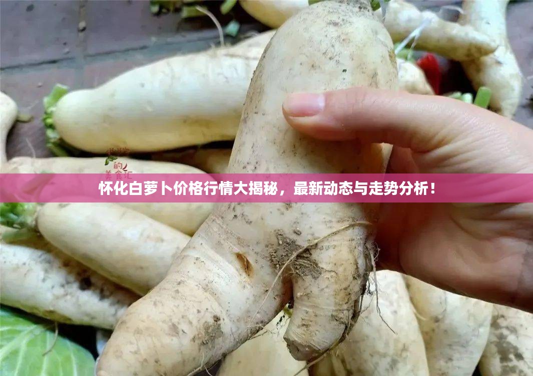 千载难逢 第2页