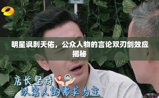 明星讽刺天佑，公众人物的言论双刃剑效应揭秘