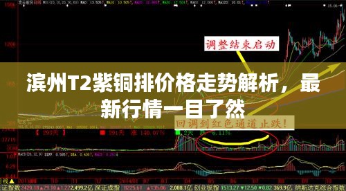 滨州T2紫铜排价格走势解析，最新行情一目了然