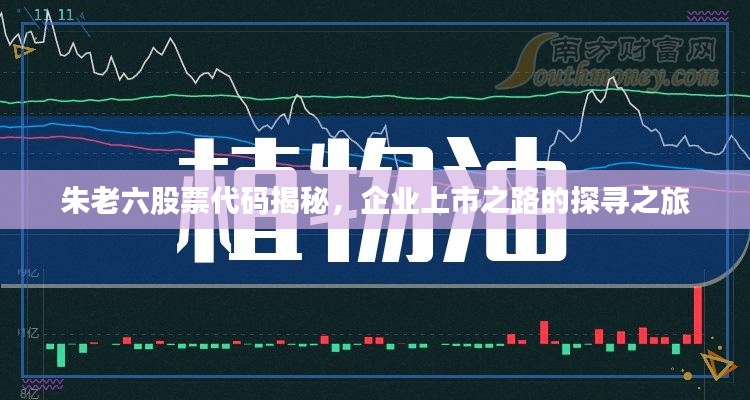 母凭子贵 第2页