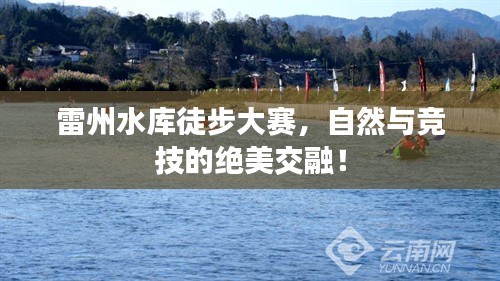 惊弓之鸟 第2页