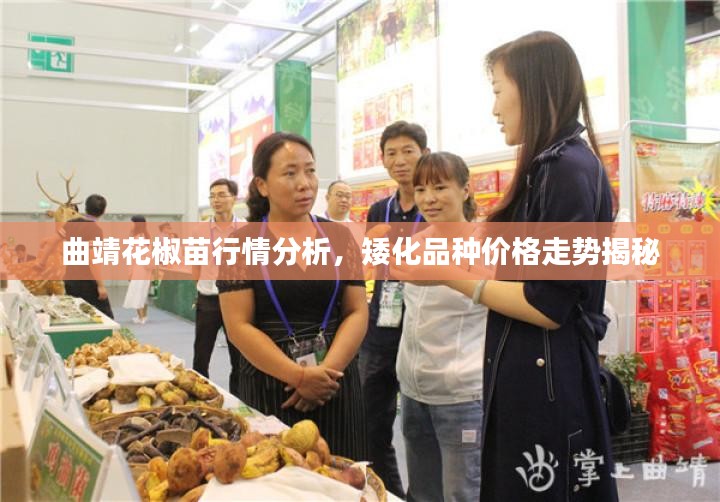 曲靖花椒苗行情分析，矮化品种价格走势揭秘