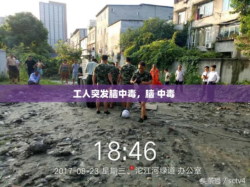 反朴归真 第2页