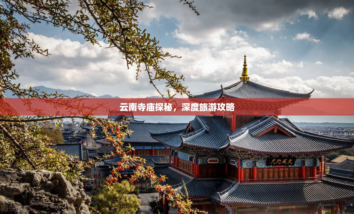 伤弓之鸟 第2页