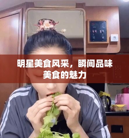 百鸟归巢 第2页