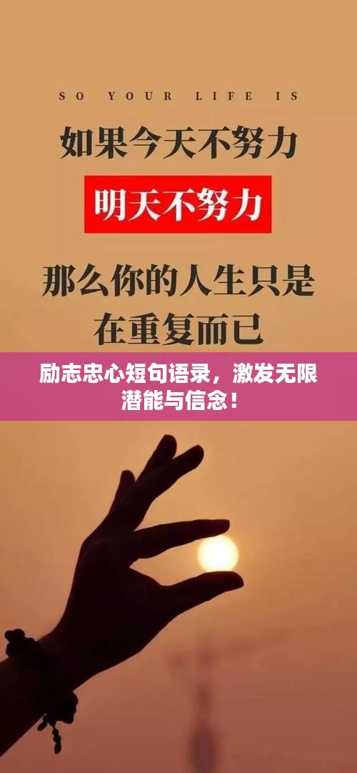 衣不重彩 第2页