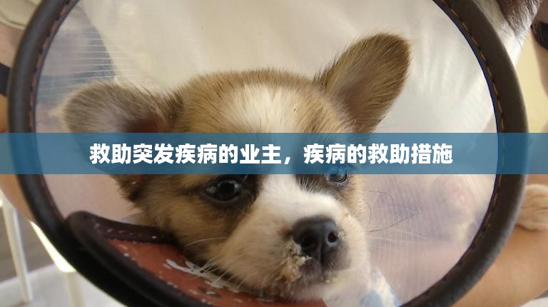 富贵凝香 第2页