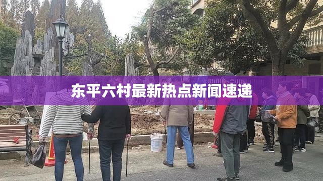 东平六村最新热点新闻速递
