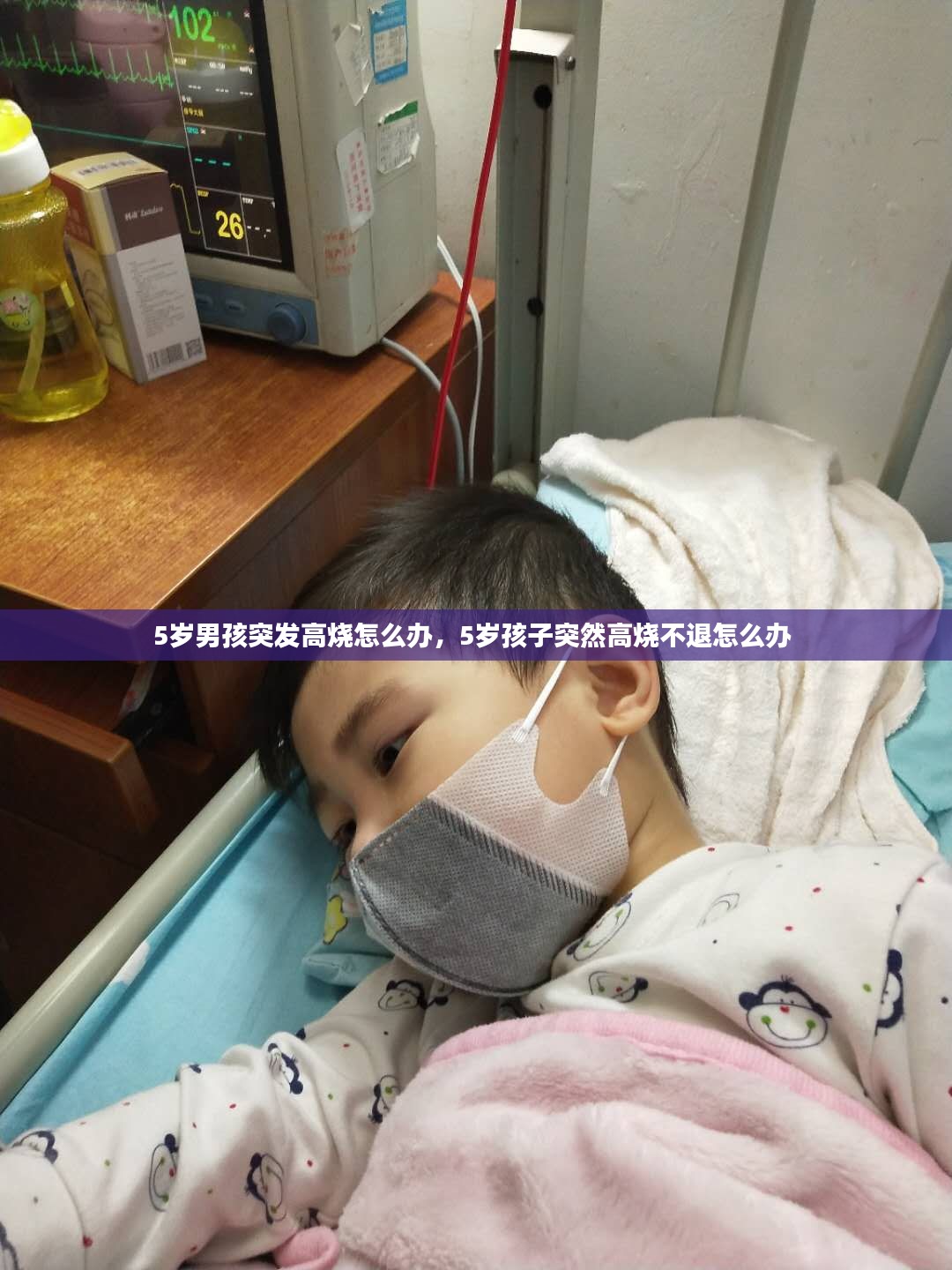 钗荆裙布 第2页