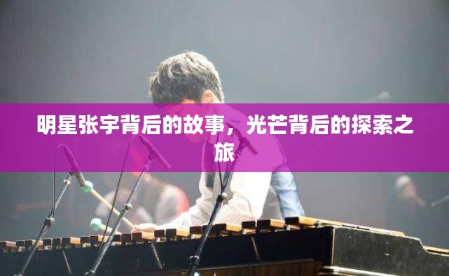澹泊明志 第2页