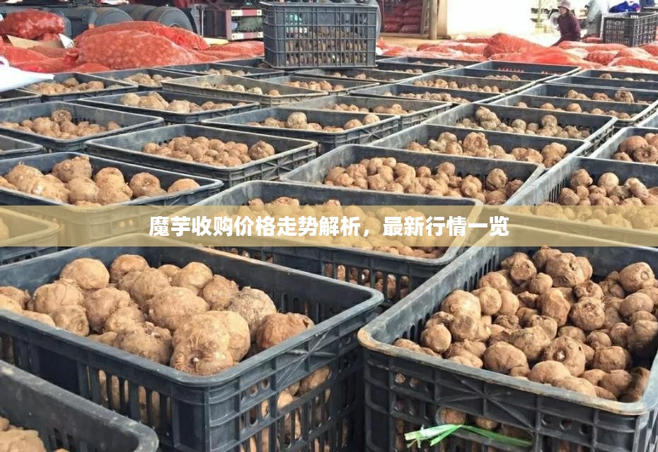 粗心大意 第2页