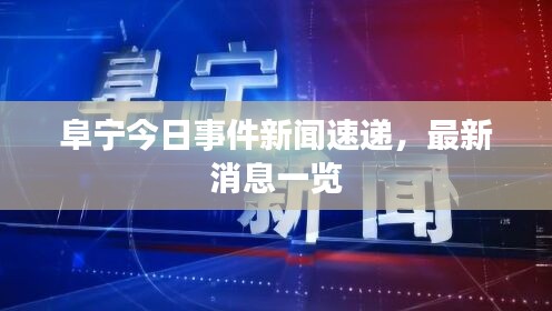 阜宁今日事件新闻速递，最新消息一览