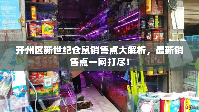 开州区新世纪仓鼠销售点大解析，最新销售点一网打尽！