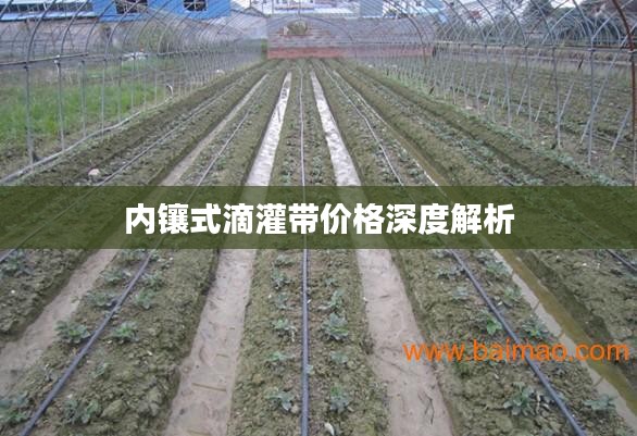 箭拔弩张 第2页