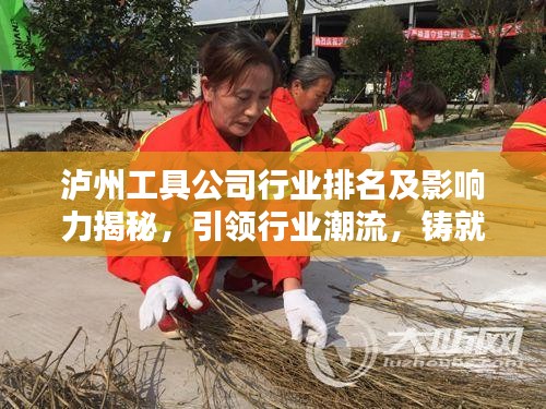 泸州工具公司行业排名及影响力揭秘，引领行业潮流，铸就品质传奇！