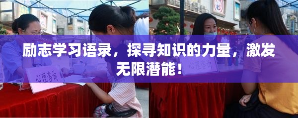 励志学习语录，探寻知识的力量，激发无限潜能！