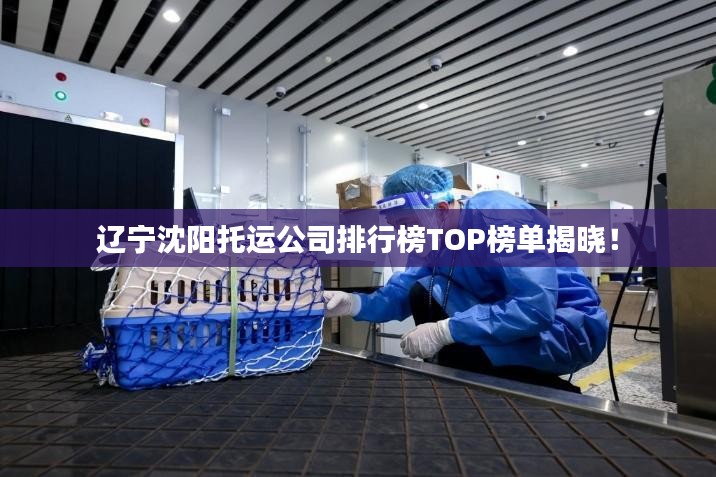 辽宁沈阳托运公司排行榜TOP榜单揭晓！
