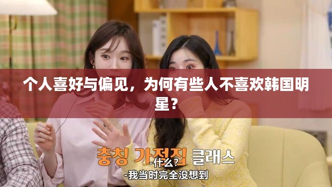 个人喜好与偏见，为何有些人不喜欢韩国明星？