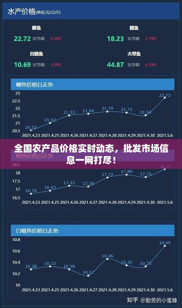 虚张声势 第2页