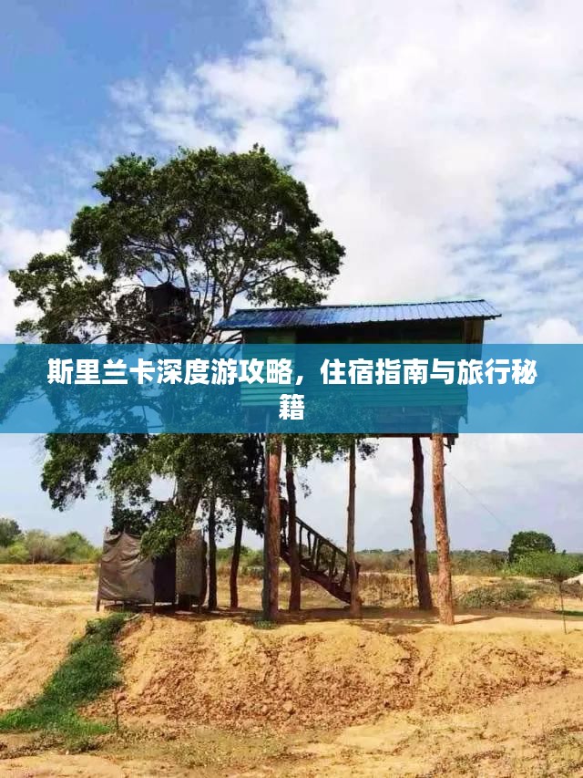 富贵利达 第2页