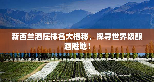 纲举目张 第2页