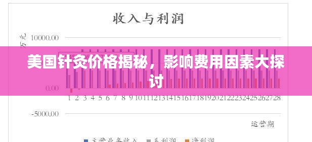 美国针灸价格揭秘，影响费用因素大探讨