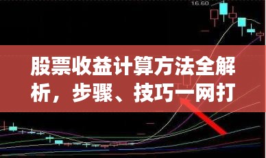 股票收益计算方法全解析，步骤、技巧一网打尽！