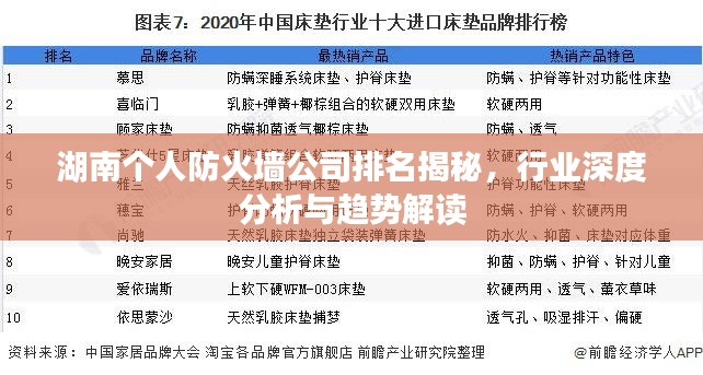 湖南个人防火墙公司排名揭秘，行业深度分析与趋势解读
