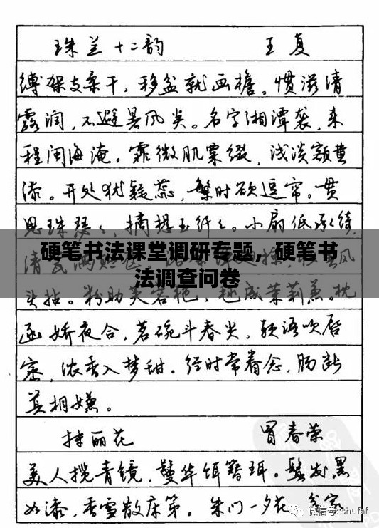 硬笔书法课堂调研专题，硬笔书法调查问卷 