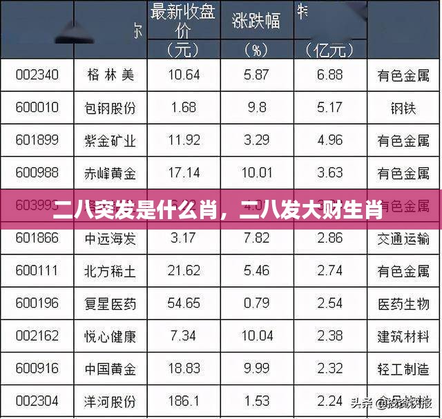 二八突发是什么肖，二八发大财生肖 