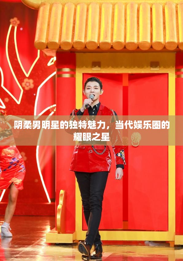 阴柔男明星的独特魅力，当代娱乐圈的耀眼之星