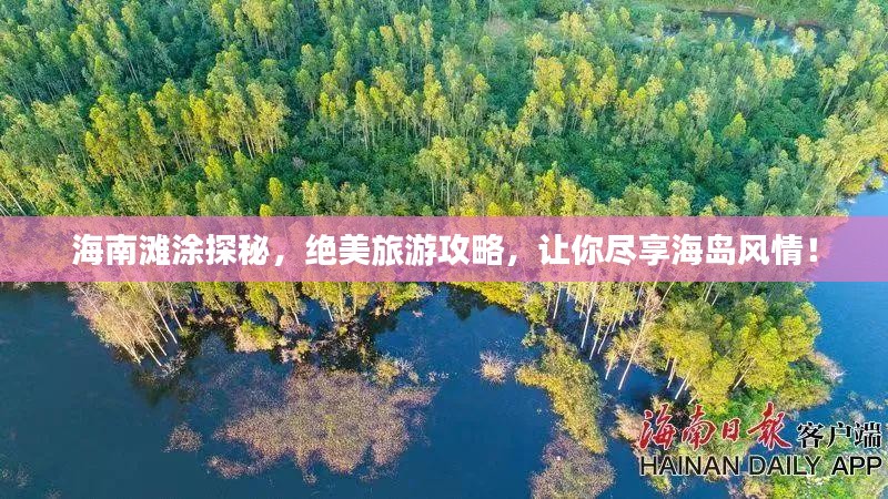 海南滩涂探秘，绝美旅游攻略，让你尽享海岛风情！