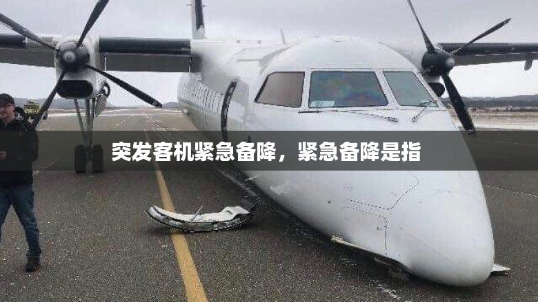 突发客机紧急备降，紧急备降是指 