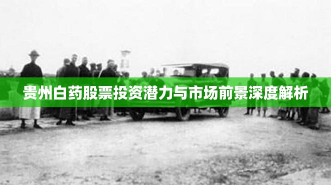 贵州白药股票投资潜力与市场前景深度解析