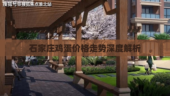 石家庄鸡蛋价格走势深度解析