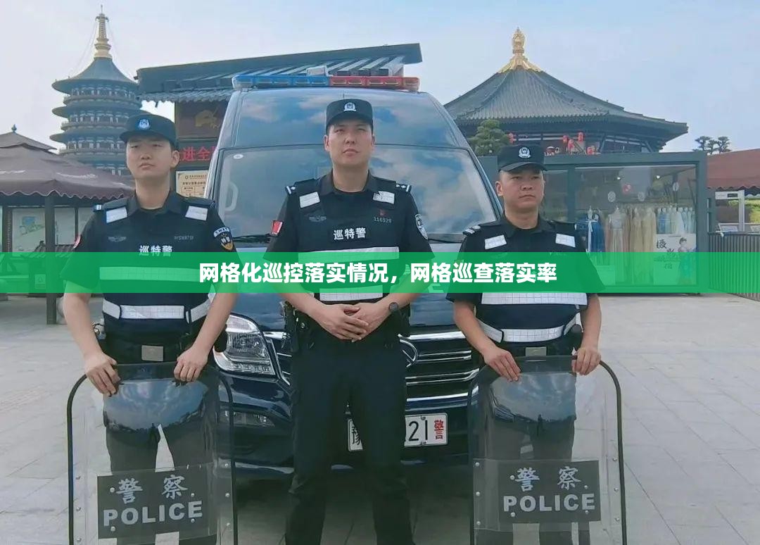 敷衍了事