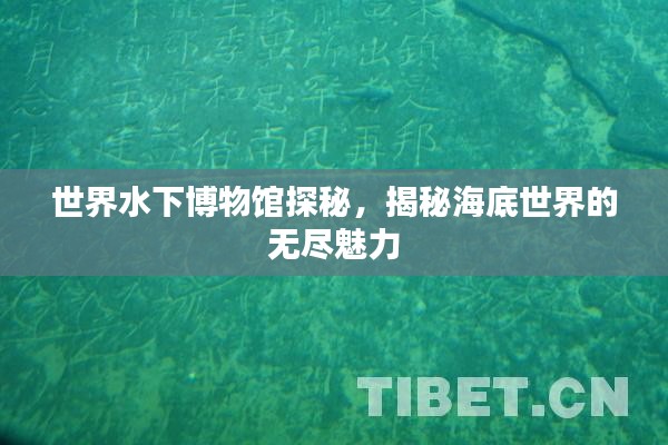 世界水下博物馆探秘，揭秘海底世界的无尽魅力