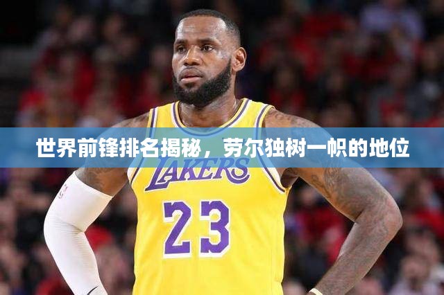 世界前锋排名揭秘，劳尔独树一帜的地位
