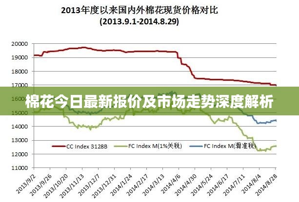 棉花今日最新报价及市场走势深度解析