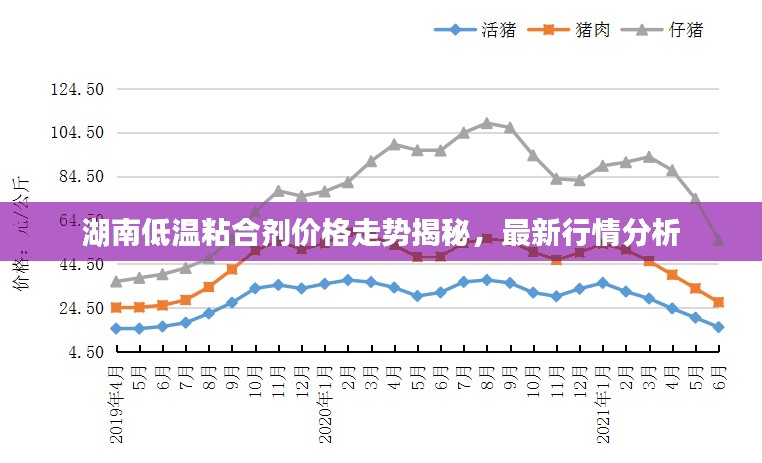 箪瓢陋室 第2页
