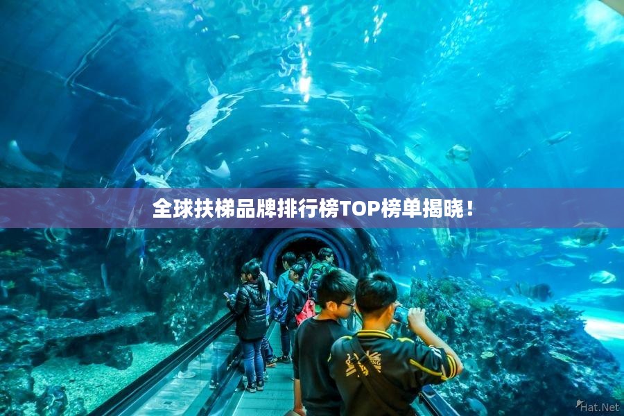 全球扶梯品牌排行榜TOP榜单揭晓！